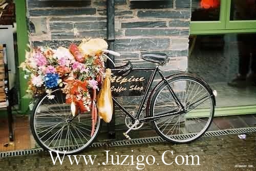 520简短的高级情话高级撩人情话(精选120句)