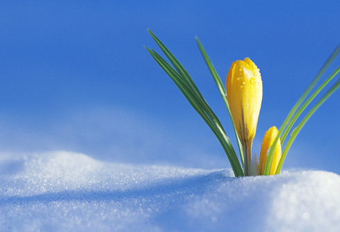 1702251193201345.png image.png