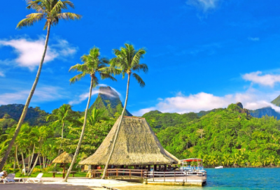 ​心情美丽的优雅句子(适合写心情的句子)