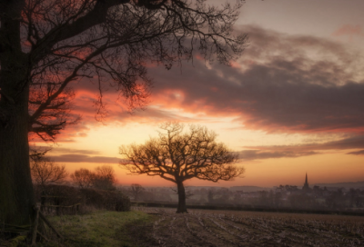 ​大海治愈心情的句子 女人看大海的心情短语(精选65句)