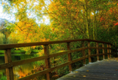 1702243908770514.png image.png