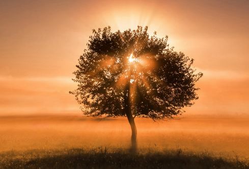 1702241590180517.png image.png