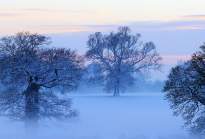​关于人在困境中的励志句子大全（精选）
