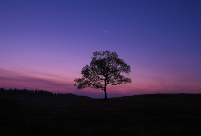 ​陪孩子在一起幸福说说心情(朋友一起玩的心情句子)