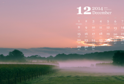 ​养花的心情句子(自己养花晒朋友圈说说)