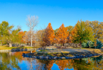 ​赏花的心情简单的说说 公园赏花的心情说说(精选30句)