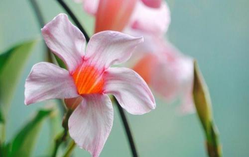 人生感悟爱情句子2015精选