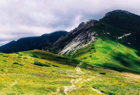 1711014812356438.png image.png