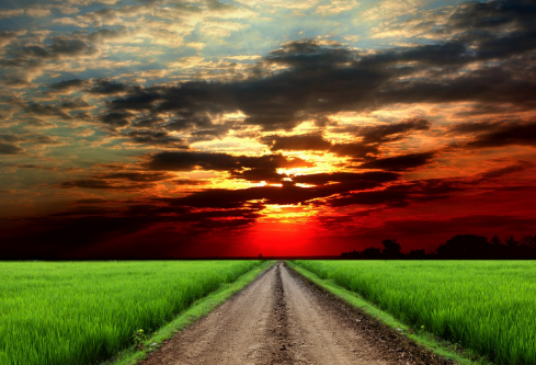 1711059687674733.png image.png