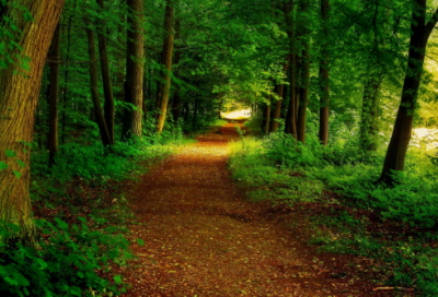 ​想老公了表达的句子说说心情（想念老公的暖心情话）