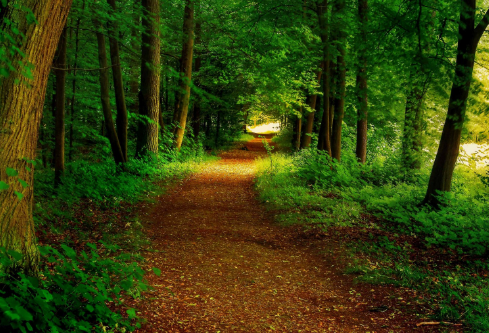 1711060851703057.png image.png