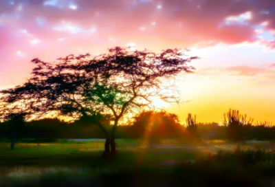 ​听到好消息时发朋友圈的心情说说（精选推荐）