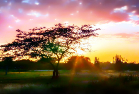 1711055036145770.png image.png