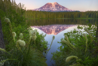 ​关于第一次去猫舍撸猫心情说说 去猫舍很开心发朋友圈配文