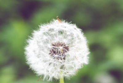 ​四月再见 五月你好的说说心情短句199个