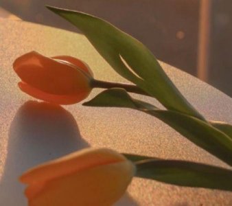 ​晚安语录经典语录暖心 晚安情话最暖心短句推荐68句