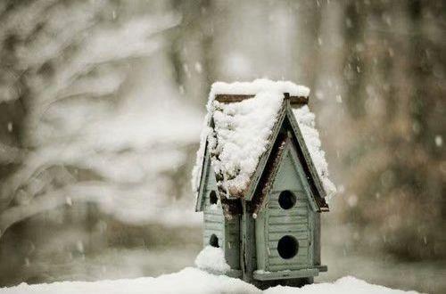 永远有童心的经典语录 人老心不老语录大全