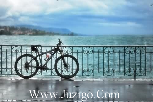 描写喜悦心情的句子描写喜悦心情的优美句子(精选16句)