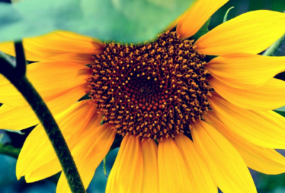 ​开心的个性签名说说心情（精选推荐）