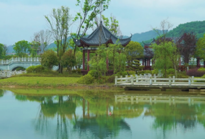 ​关于心情凌乱的句子短句 感悟人生扎心的句子