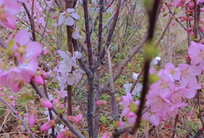 ​关于被骗的说说心情短语