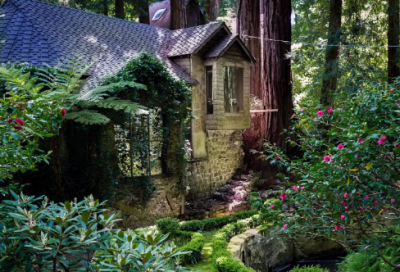 ​写给老师最暖心短句(共18句)