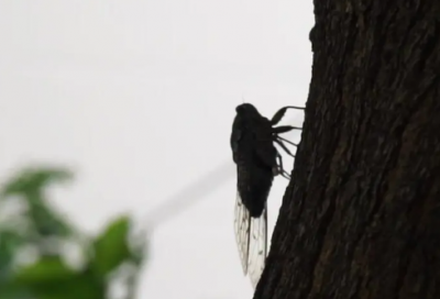 ​关于年过完了该去挣钱了经典句子 年过完了努力挣钱的心情朋友圈
