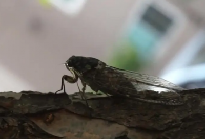 ​2026年国庆节假期结束后第一天上班心情说说句子（精选推荐）