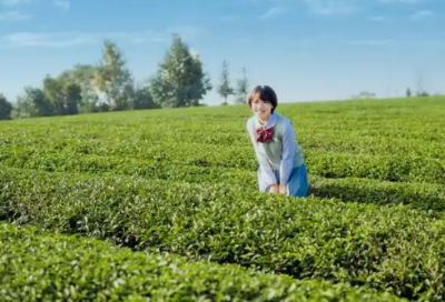 ​抖音女生励志句子85句